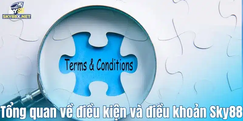 Tổng quan về điều kiện và điều khoản Sky88