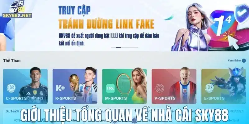 Giới thiệu tổng quan về nhà cái Sky88