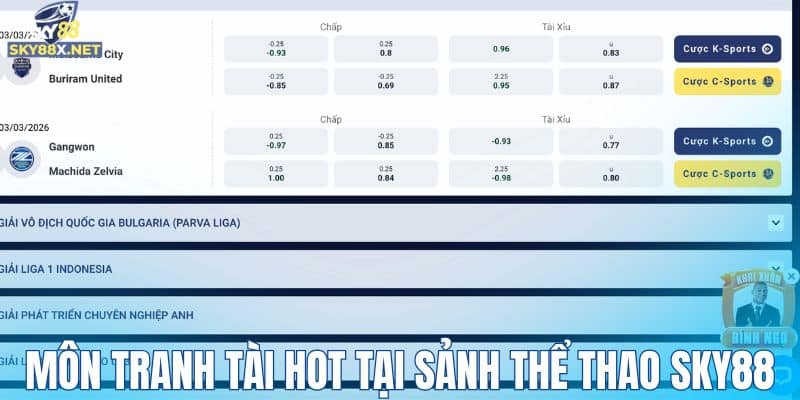 Môn tranh tài hot tại sảnh thể thao Sky88